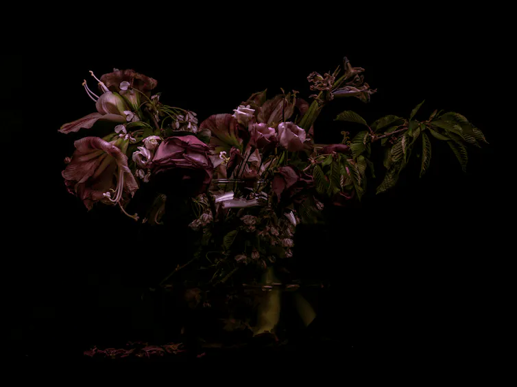A bouquet of withering pink flowers.