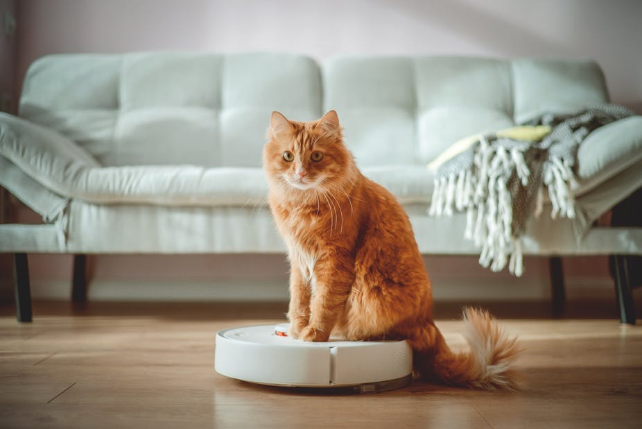 A cat sits on top of an autonomous vacuum cleaner.