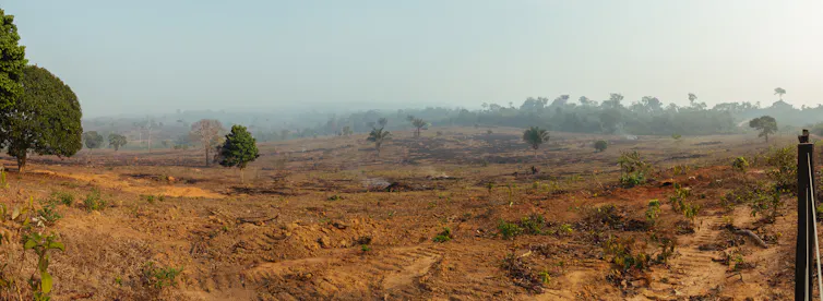 Deforestasi di Amazon, Brasil.
