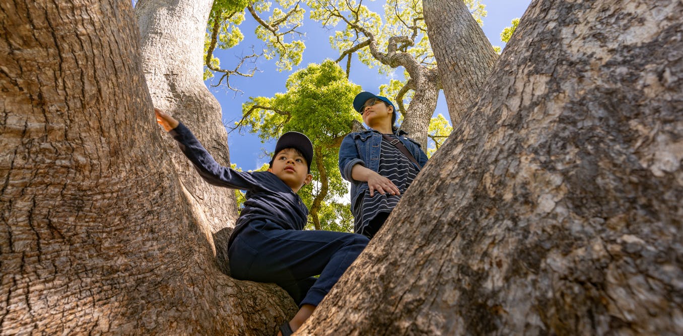 Parents – Stop Worrying and Let Your Children Climb Trees! – Rain