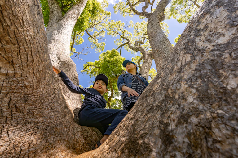 A young child and a mother climb in a tree.