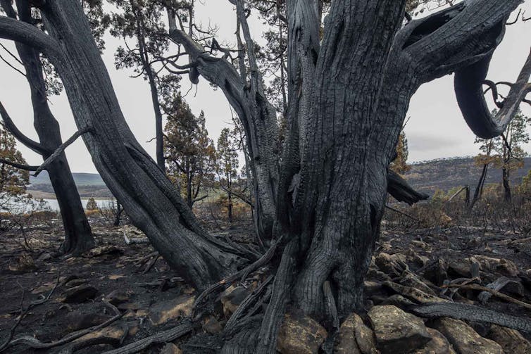 2016 tasmania bushfires