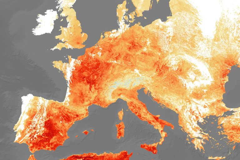 carte des températures au sol le 25 juillet 2019