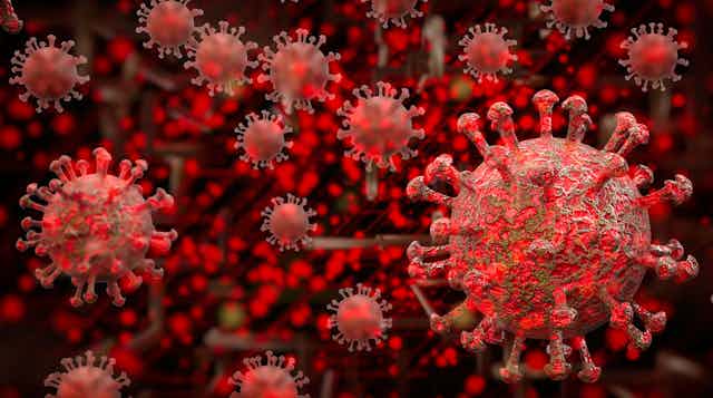 Illustrated in red and gray colors, the coronavirus is depicted against a black background.