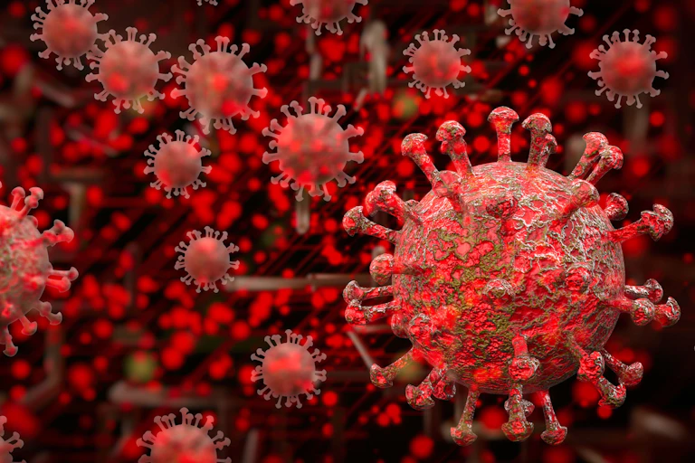 Illustrated in red and gray colors, the coronavirus is depicted against a black background.