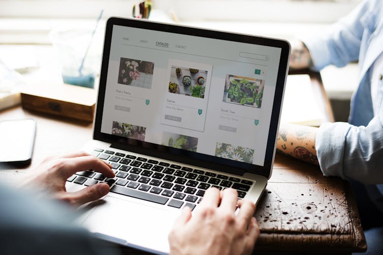 Photo of someone shopping for plants online, showing hands on the laptop keyboard and plants on screen.