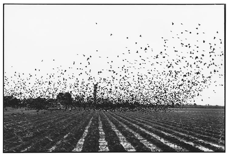Perseverancia de la naturaleza, movimiento del agua, rigidez de las paredes: documentos de fotógrafo de Zoe Leonard y frontera mexicana de los Estados Unidos México 6 file 20230908 19 xpasvv.jpg?ixlib=rb 4.1