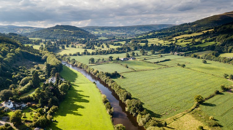 An aerial scene of green fields and trees with a running through the middle.