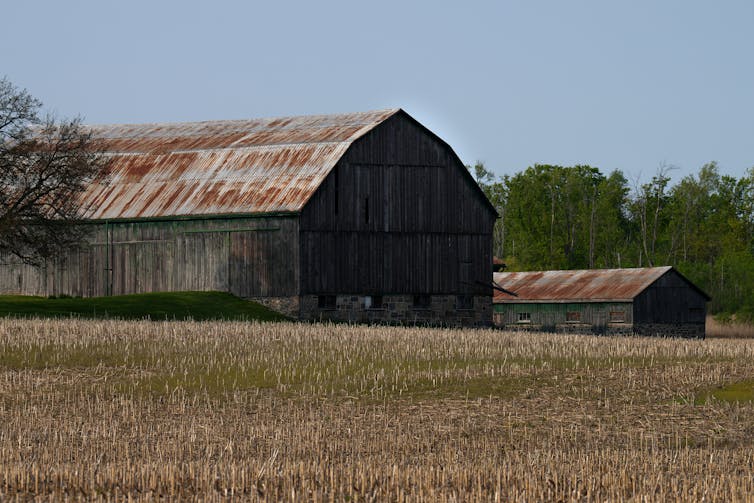 A barn and shed next to a farmer's field.