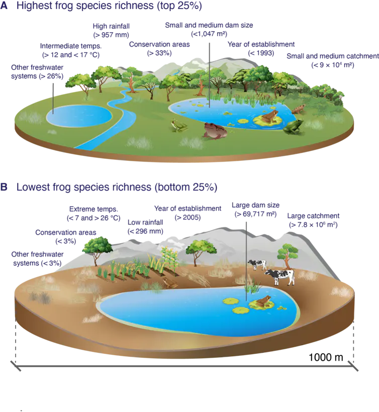 figure showing richer and less rich farm dam frog biodiversity