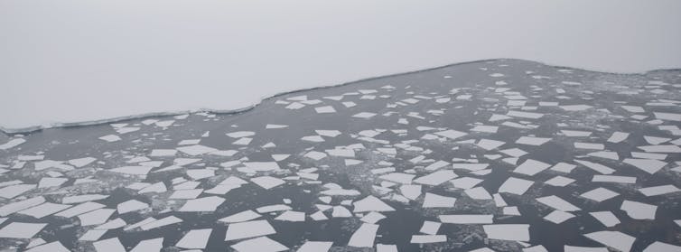 Ghiaccio marino contro piattaforma di ghiaccio.