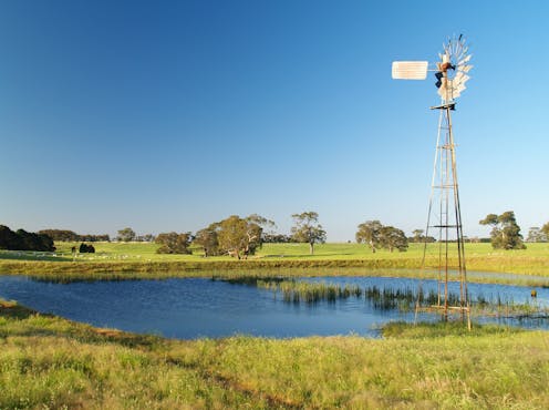 Our unsung farm dams provide vital habitat to threatened species of frogs