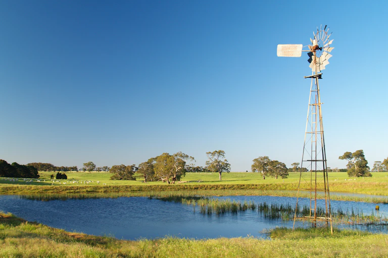 farm dam