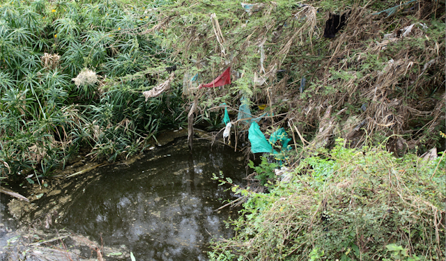 A river bank showing plastic waste and dirty water.