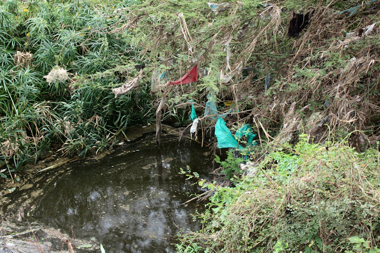 A river bank showing plastic waste and dirty water.