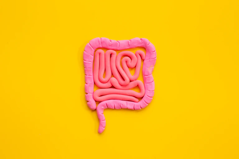Human internal organs intestines shape on yellow background.