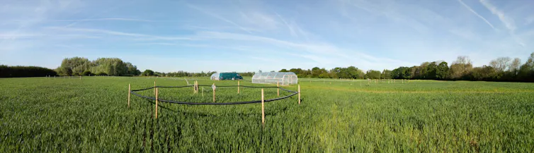 A fenced off ring in the middle of a field.