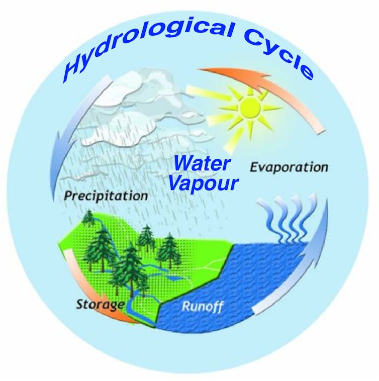 This graphic describes Earth's hydrological cycle.