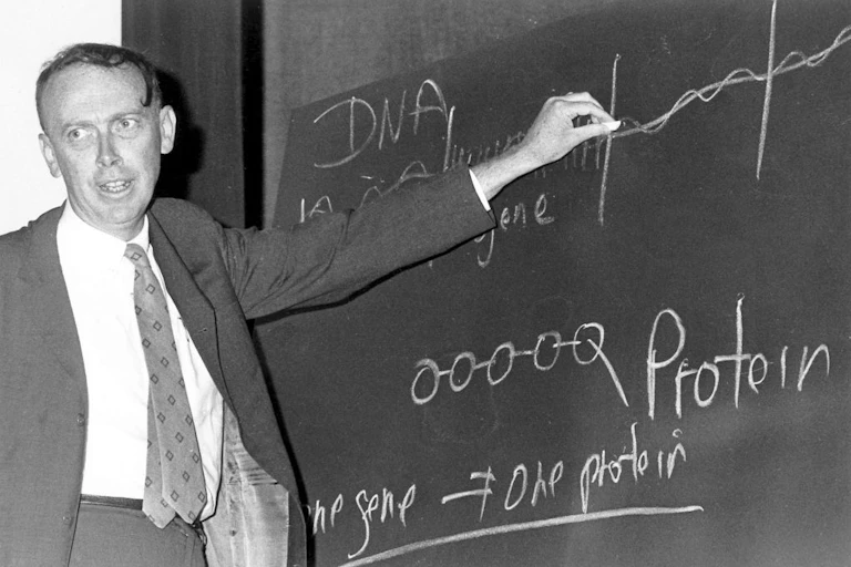Black and white photo of James Watson drawing the structure of DNA on a chalkboard