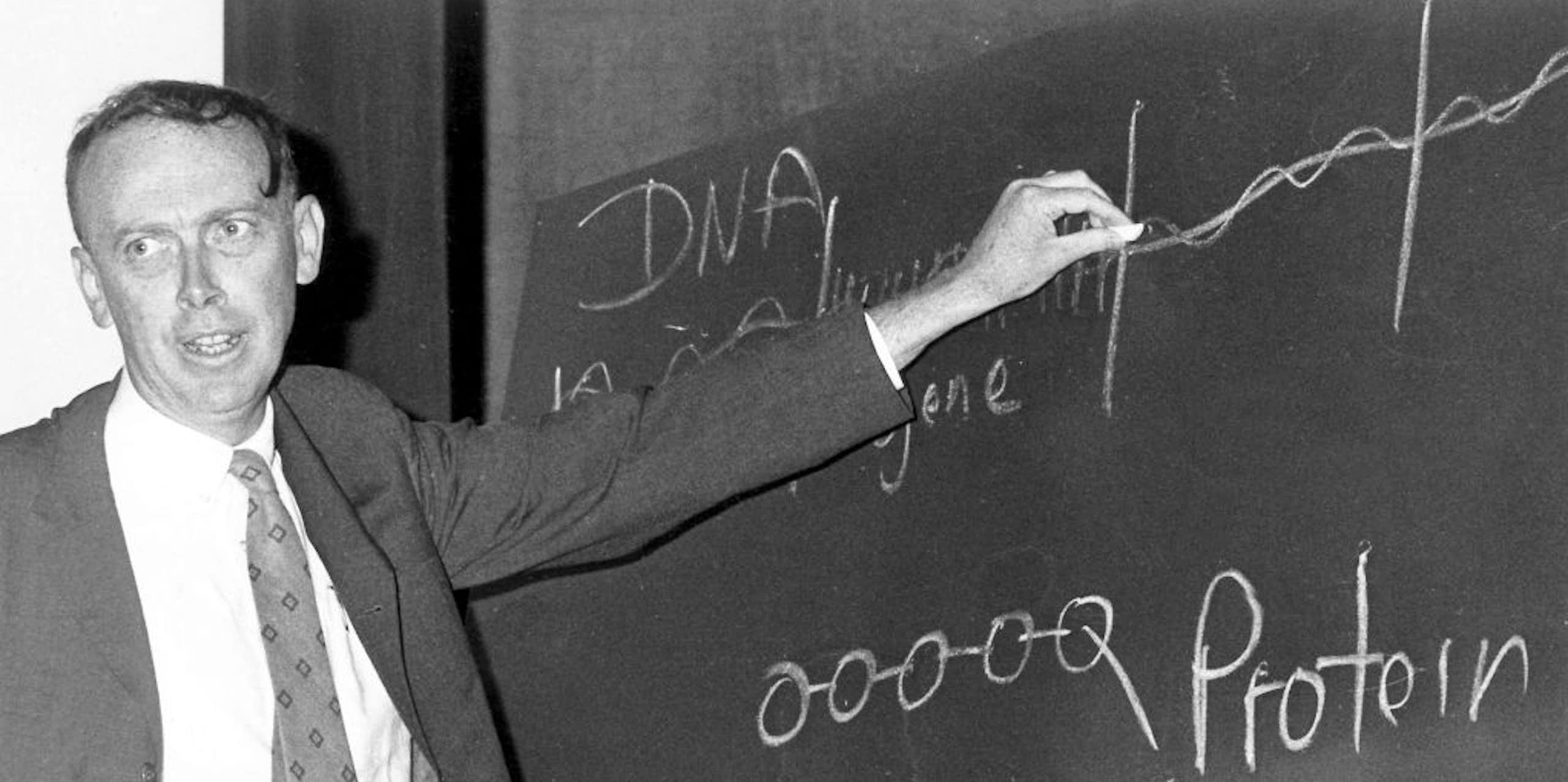Black and white photo of James Watson drawing the structure of DNA on a chalkboard