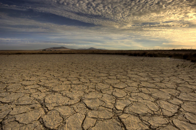 Landscape with cracked bare earth