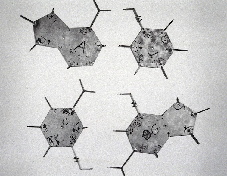 Hexagonal aluminum plates in the shape of the bases adenine, guanine, cytosine and thymine