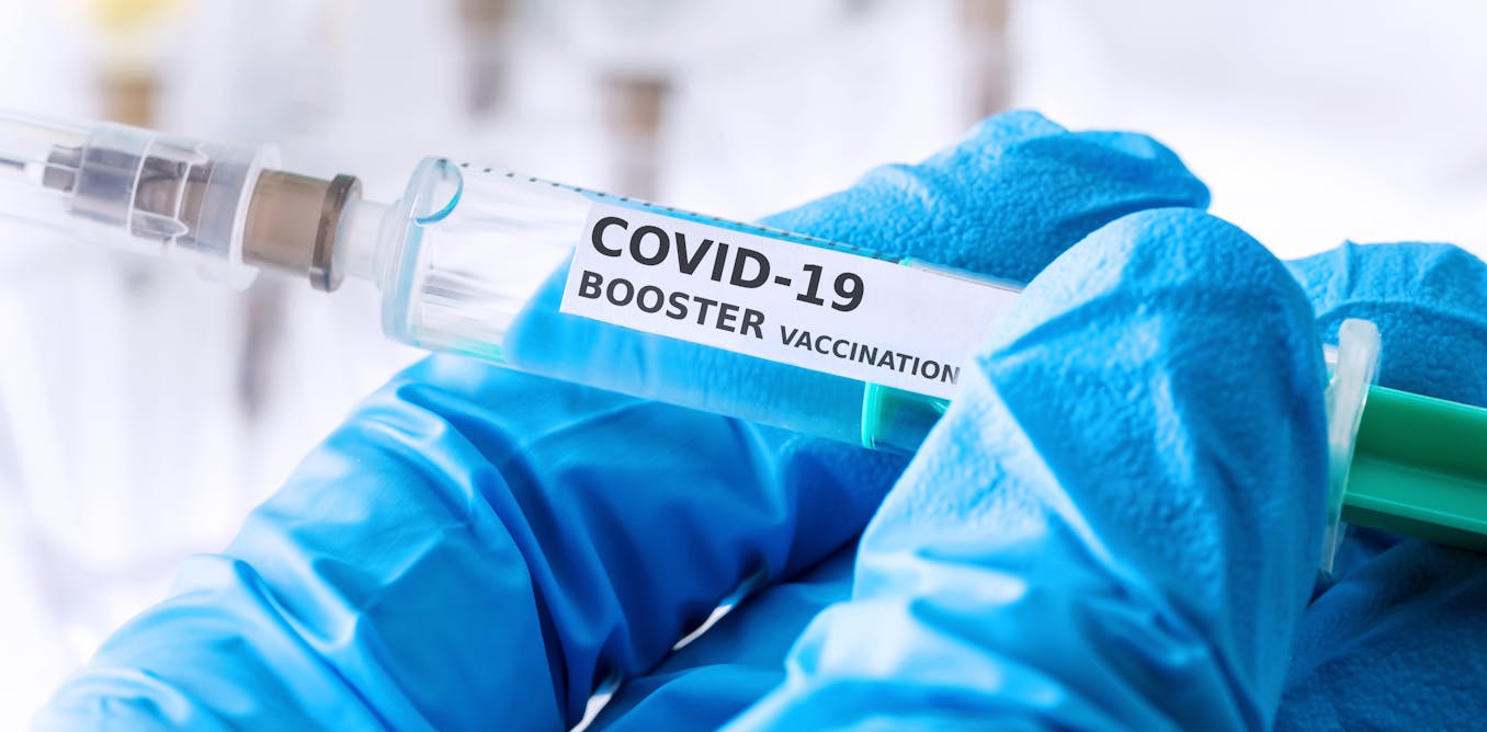 CDC greenlights two up to date COVID-19 vaccines, however how will they fare in opposition to the newest variants? 5 questions answered