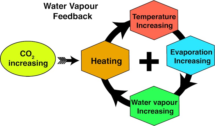 Ta grafika wyjaśnia sprzężenie zwrotne pary wodnej: zwiększone ogrzewanie sprzyja zwiększonemu parowaniu i wyższym temperaturom atmosferycznym, co z kolei prowadzi do wyższego poziomu pary wodnej w atmosferze.