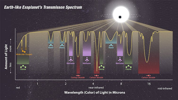Exoplanet transmission spectrum