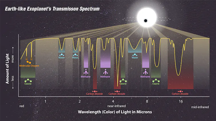 Exoplanet transmission spectrum