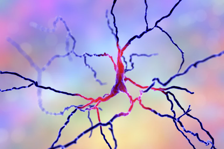 Illustration of dopamine neuron colored violet and purple