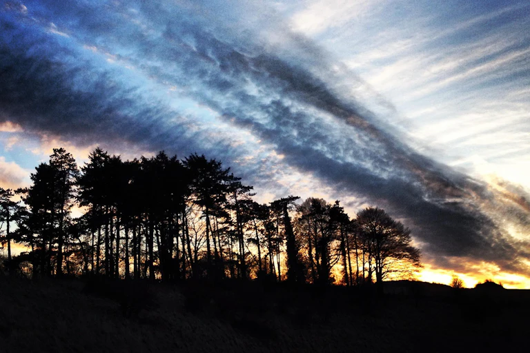 A band of high-atmosphere clouds arcs across a tree-lined sky at dusk.