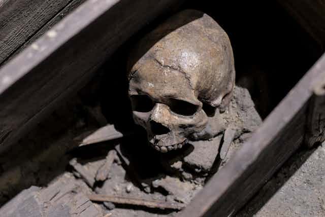 A human skull visible in a dry underground space