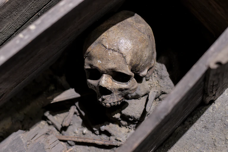 A human skull visible in a dry underground space