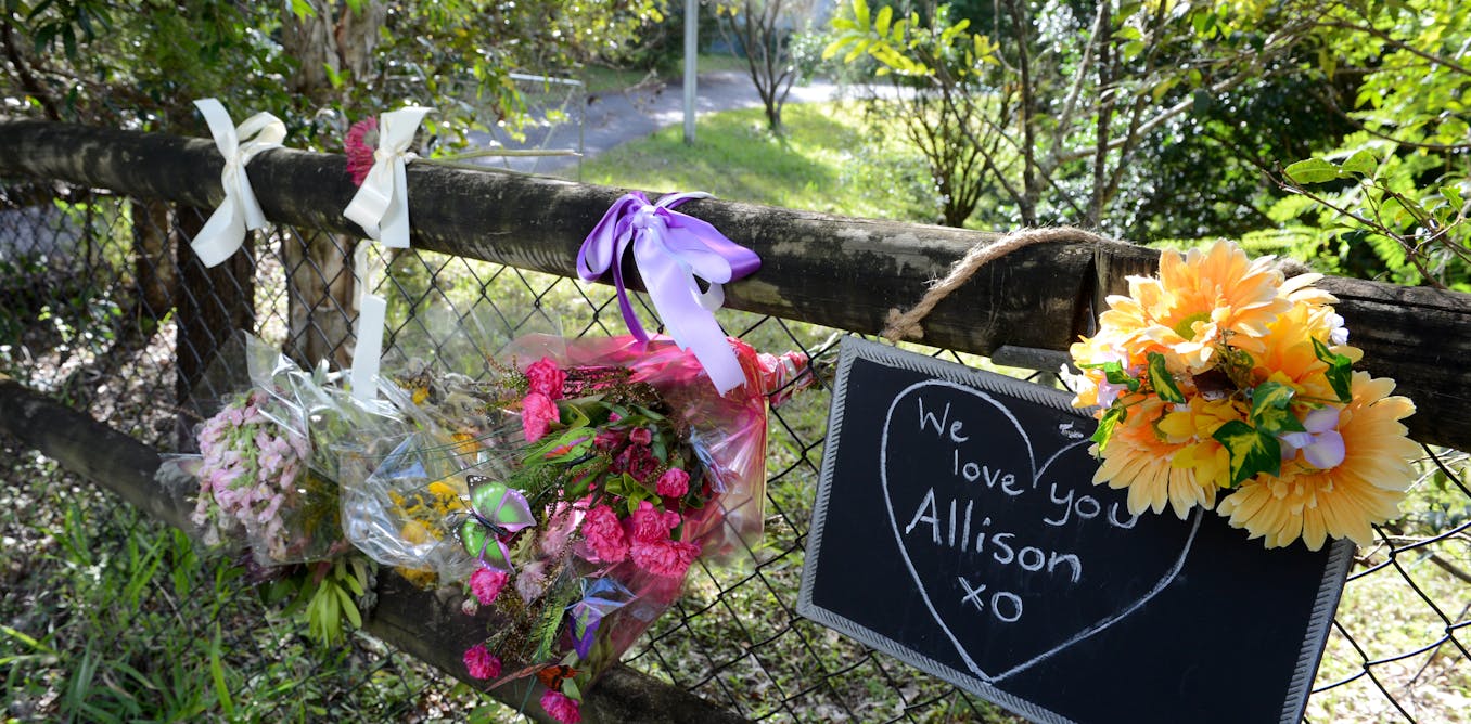 Out of the shadows: the rise of domestic violence in australia