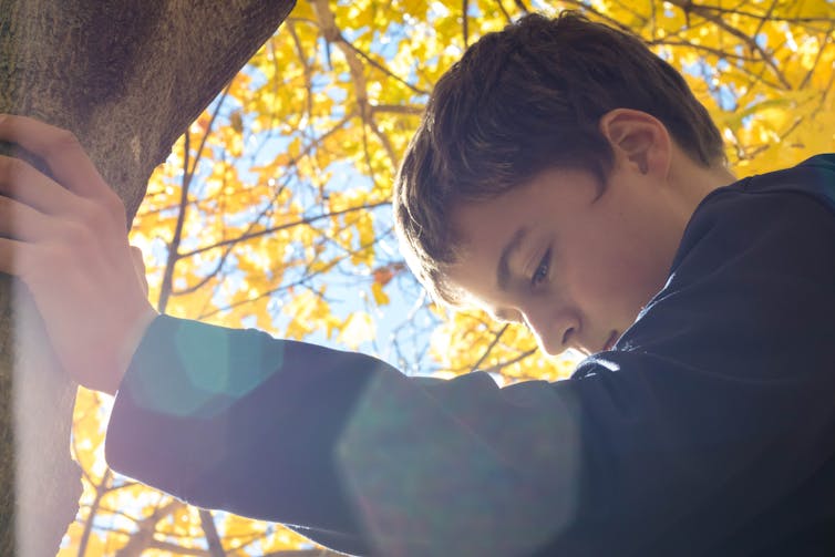 A young boy leans on a tree.