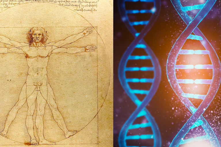 two panels: left panel drawing of a nude man with arms and legs in two positions; right panel three vertical double helix strands