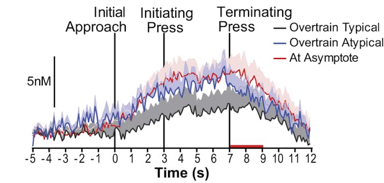 Diagram of ramp pattern dopamine release, which shows a steep rise that levels off