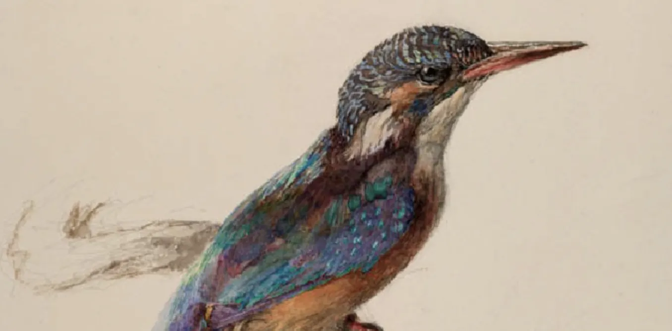 Comment la couleur est devenue un enjeu majeur de l’histoire de l’art Comment la couleur est devenue un enjeu majeur de l’histoire de l’art