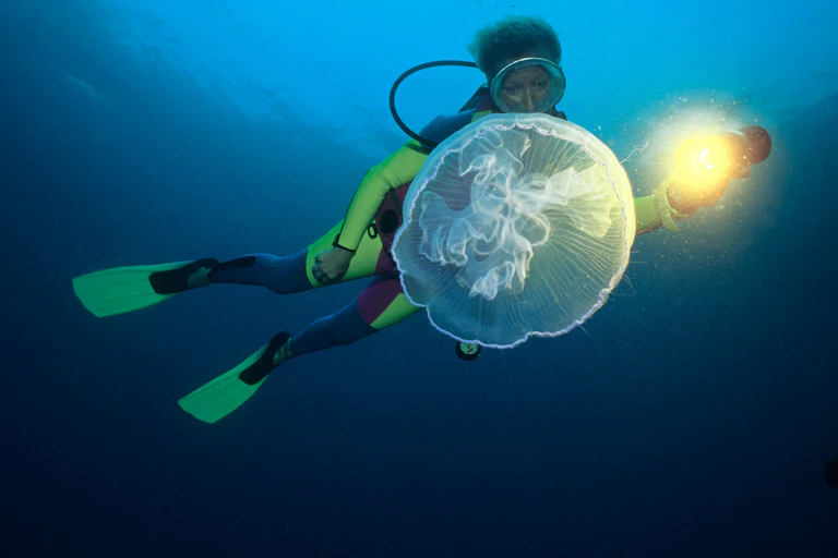 A scuba diver with a moon jellyfish.