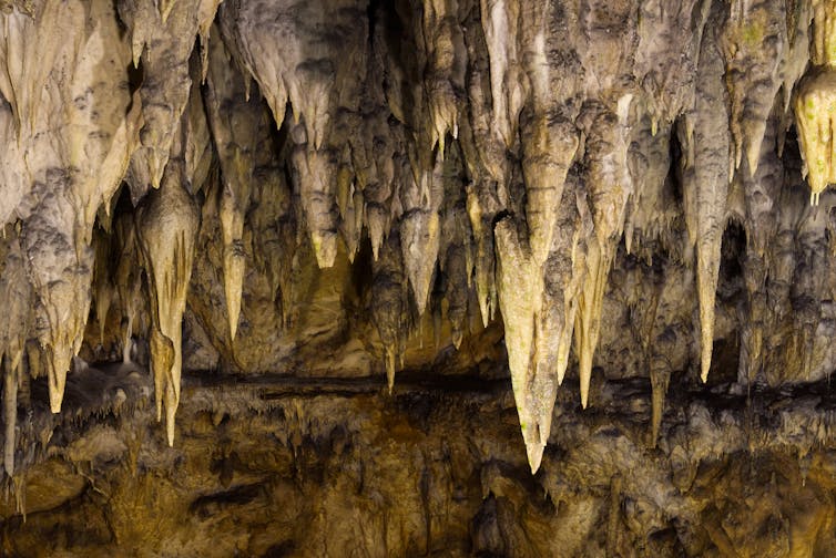 Pointed rocks hanging from a cave ceiling.