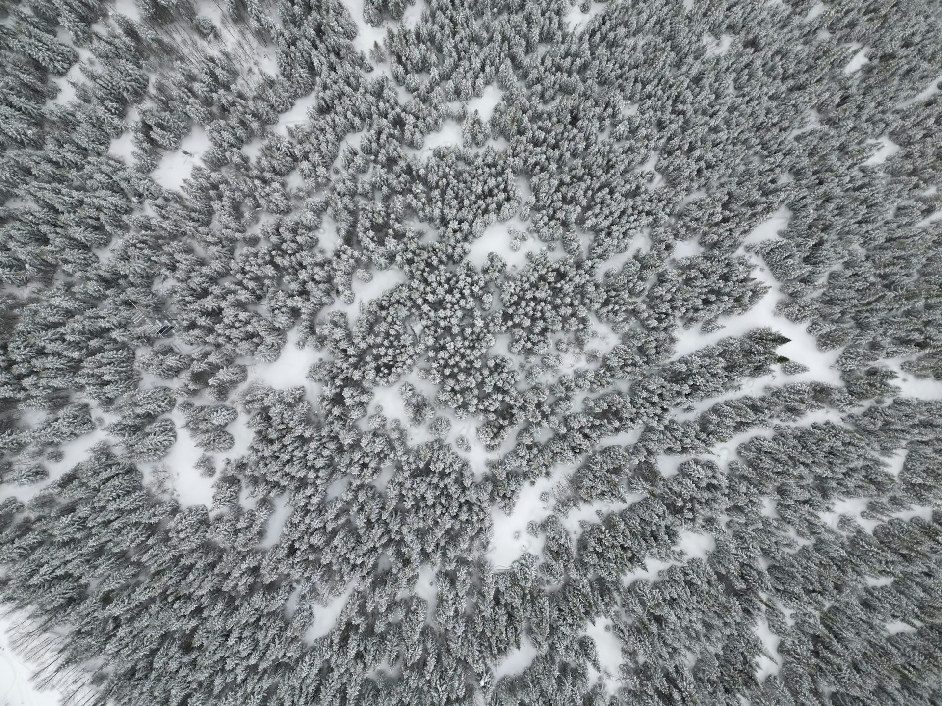 file-20230919-25-v4w66