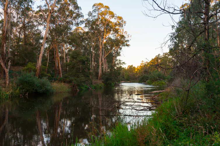 A river at sunset.