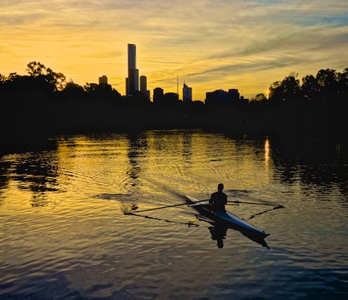 Seals, swimmers, bat carers – exploring the world of the pale brown, oft-maligned Yarra River