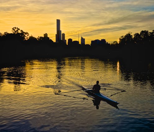 Seals, swimmers, bat carers – exploring the world of the pale brown, oft-maligned Yarra River