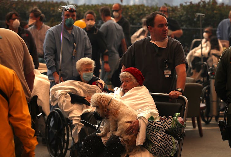 Hospital workers push patients in wheelchairs outside the hospital during the evacuation. A dog sits on one woman's lap.