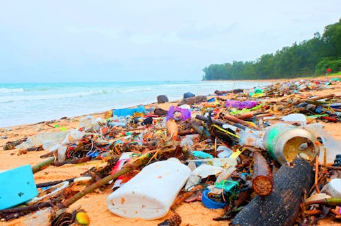 Container deposit schemes reduce rubbish on our beaches. Here’s how we proved it