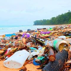 plastic pollution research topics