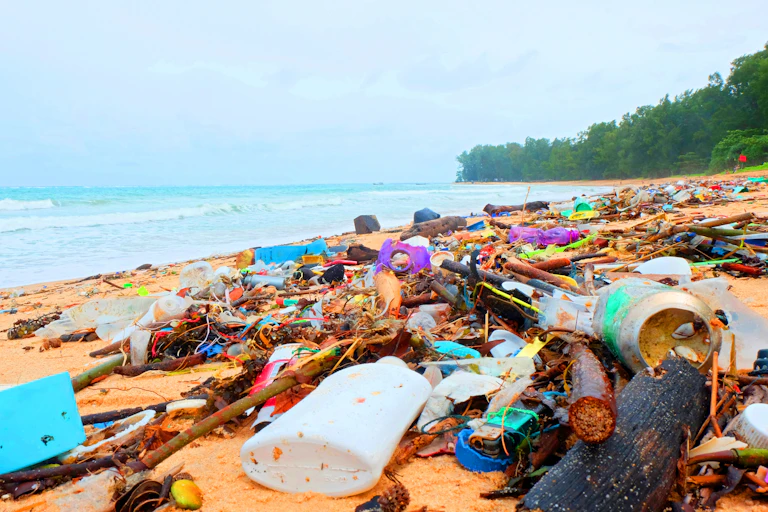 Rubbish washed up on a beach including drink cans and plastic bottles