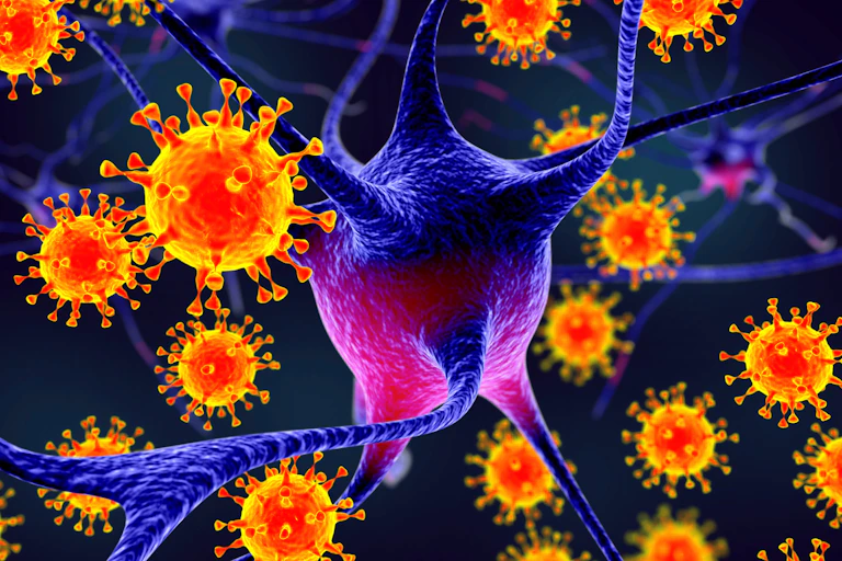 Virus Nipah